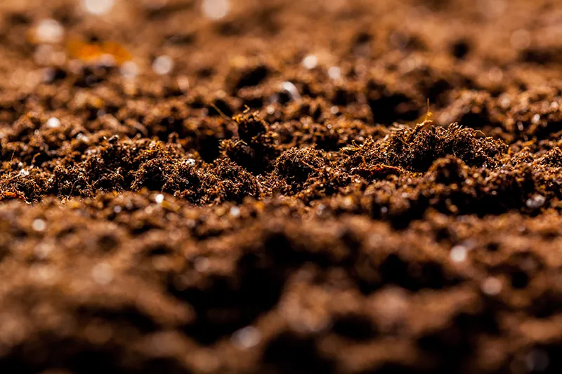 Libération lente des nutriments