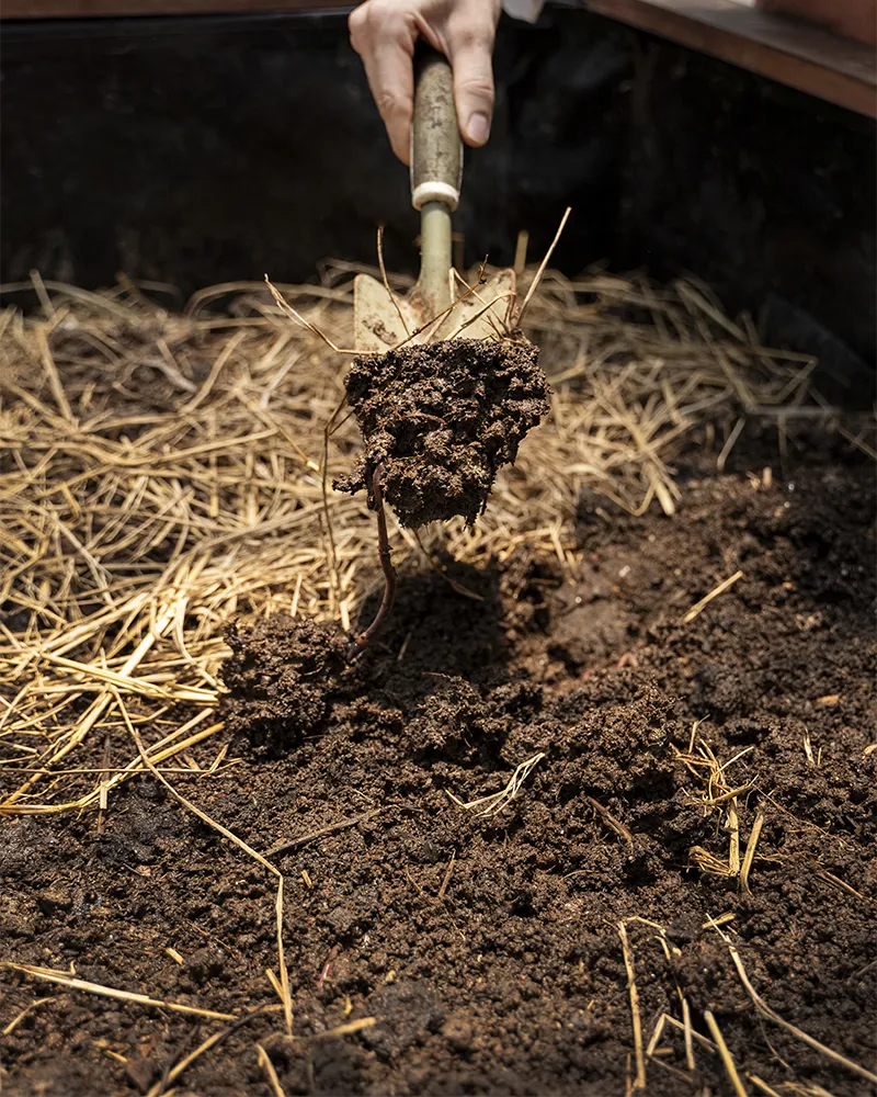 Produits oligo-éléments de qualité