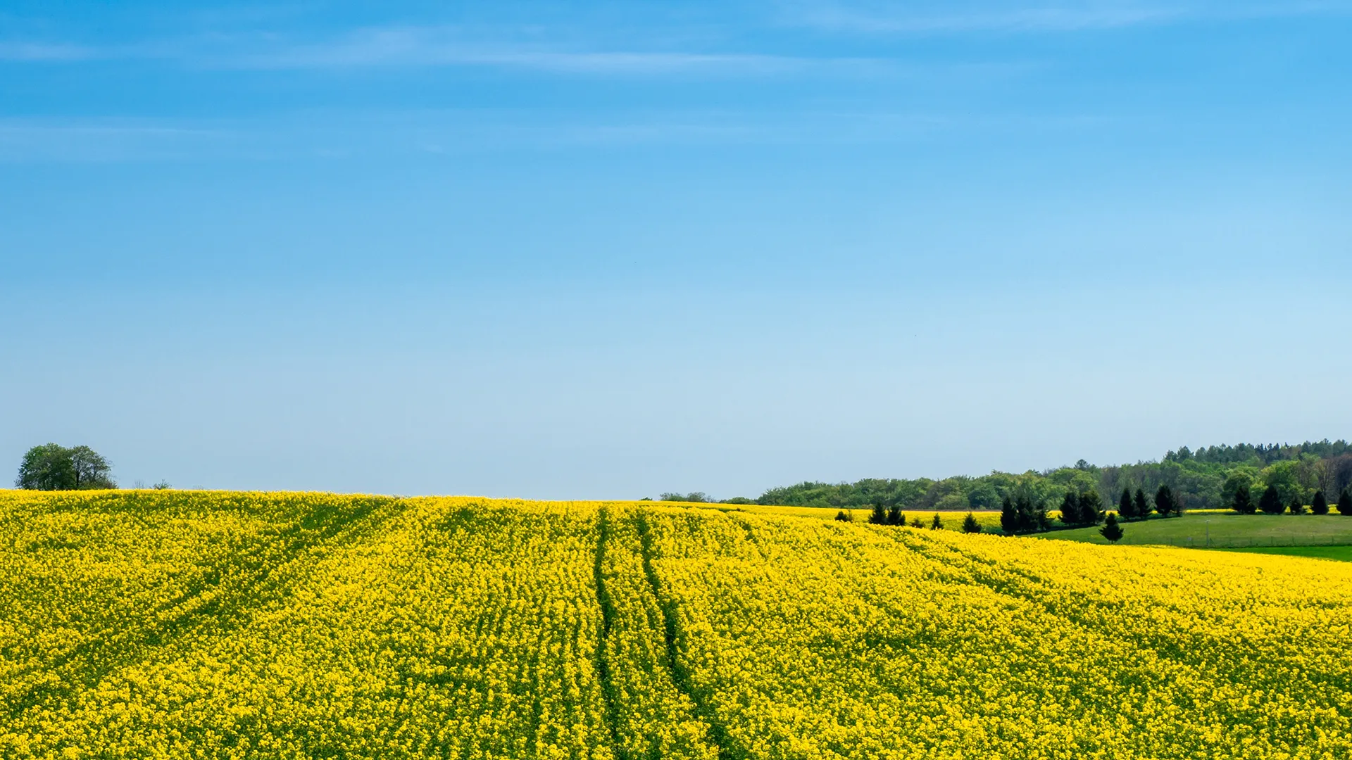 Champ agricole avec fertilisants naturels