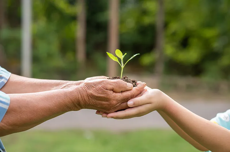 Protection de l’environnement